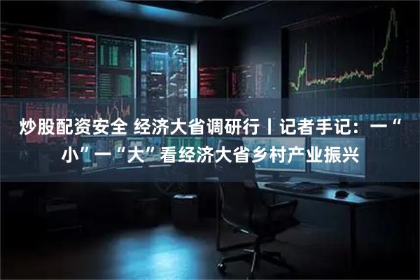 炒股配资安全 经济大省调研行丨记者手记：一“小”一“大”看经济大省乡村产业振兴